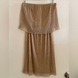 Francesca’s Sz S Metallic Strapless Dress NWT